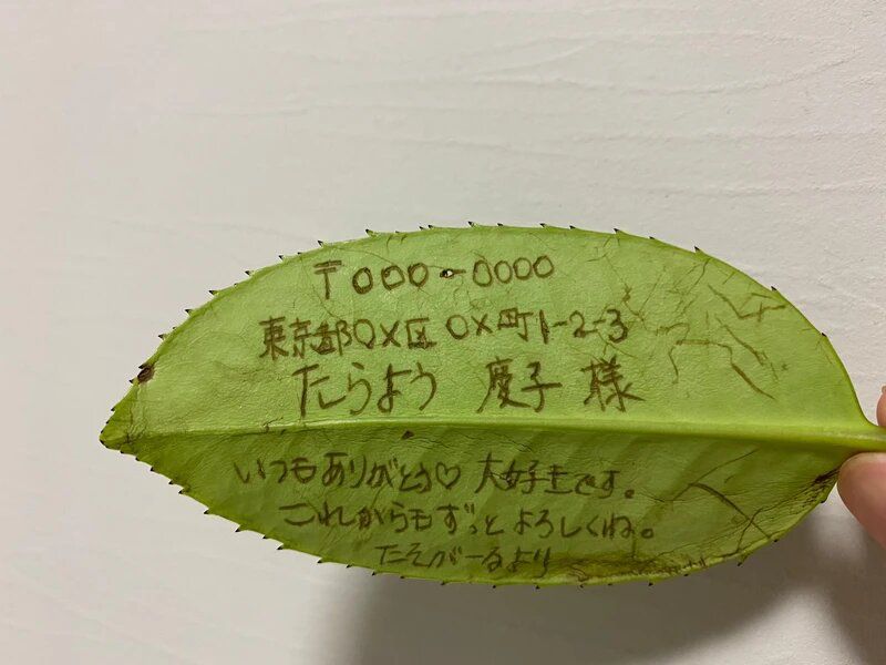 япония письмо листья